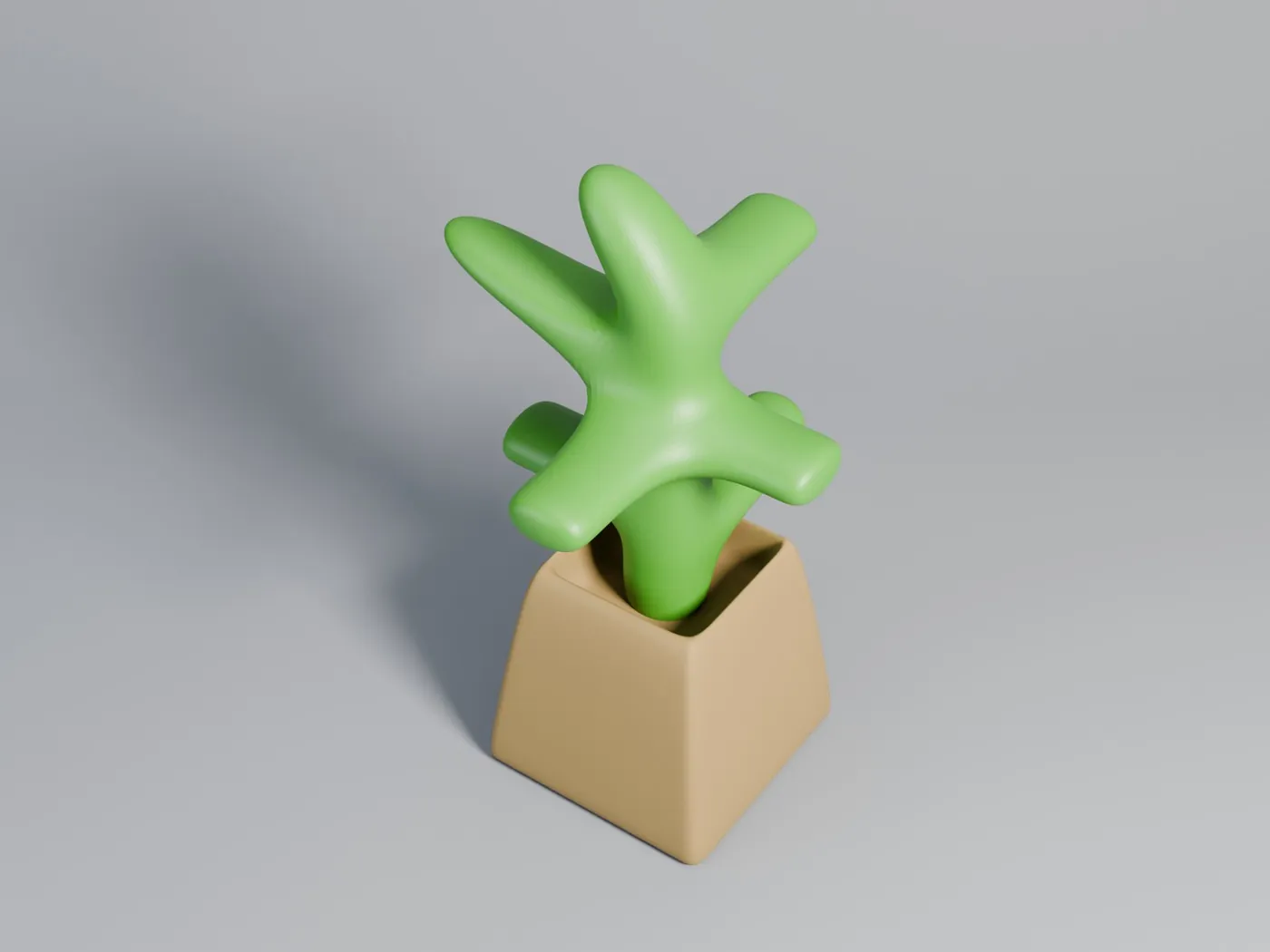 Potted cactus