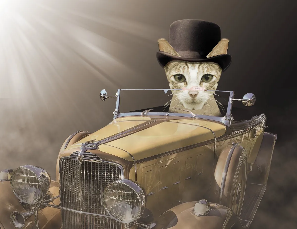 Cat in a Top Hat: Cat in a top hat driving a vintage roadster; Photoshop selections-and-masks assignment.